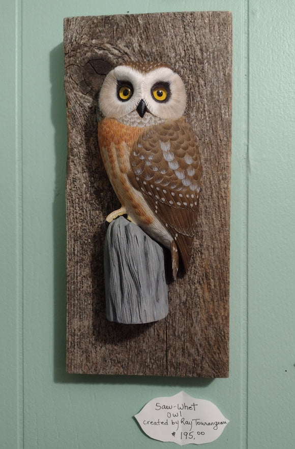 Locally Carved Saw-Whet Owl