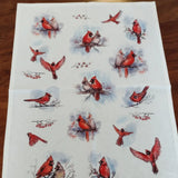 Kitchen Towels - Assorted Choices