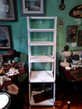 Folding Ladder Shelf